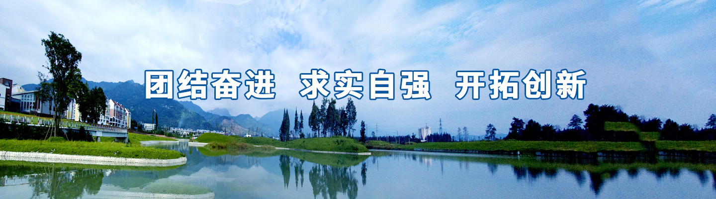 市政道路護(hù)欄